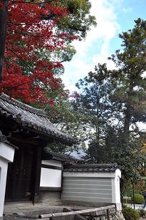 京都　紅葉　観光