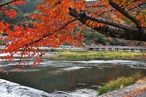 京都　紅葉　観光