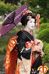 舞妓体験　舞妓変身