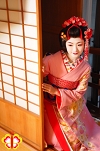 舞妓体験　舞妓変身